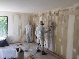 Best Mold Documentation for Insurance Claims  in Hartford, AL